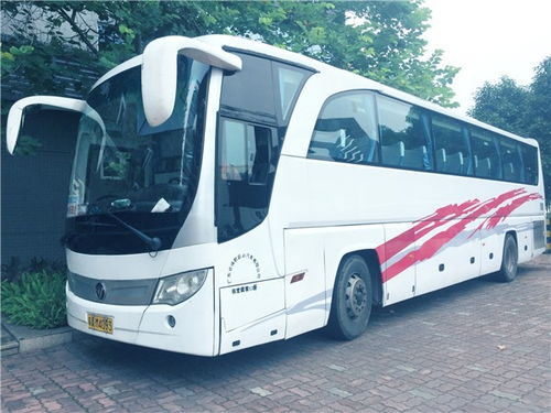 圖 廣州租車公司 旅游大巴車出租 上下班接送大巴車租車 廣州租車
