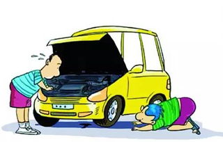 出租汽車規(guī)范運營與文明駕駛要求